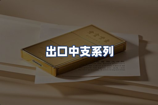 出口中支系列