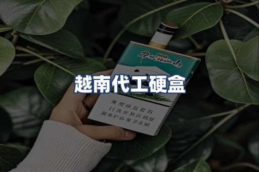 越南代工硬盒